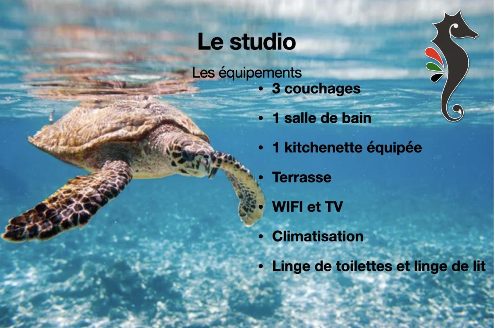 Studio Hippocampe P&V Sainte-Luce Exterior photo